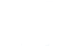 PALM GOLD REFINERY FZC