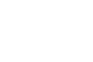 DEN SPARES