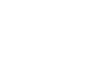 Rizan Bullion